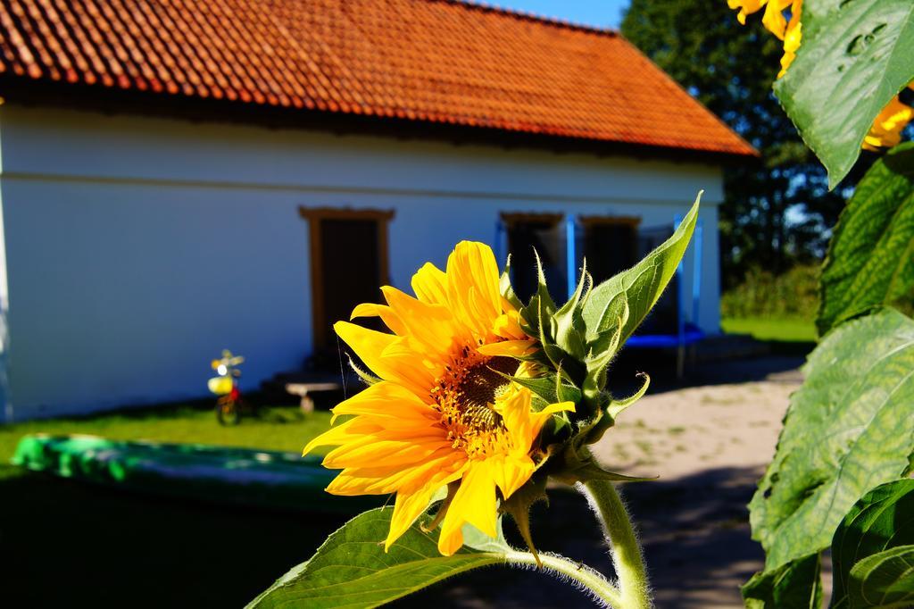 Vila Rybaczowka Luknajno Mikołajki Exteriér fotografie